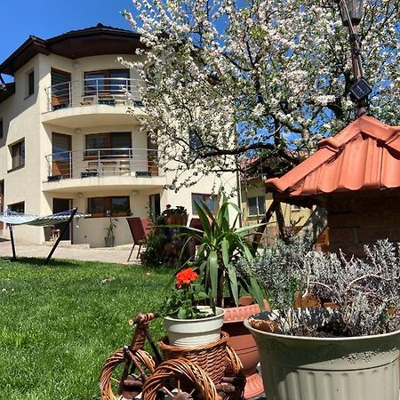 Casa Ana Cluj Apartment Bagian luar foto