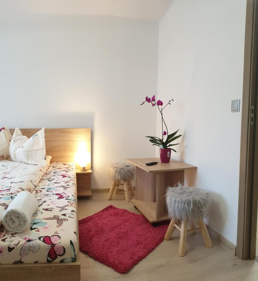 Casa Ana Cluj Apartment Bagian luar foto
