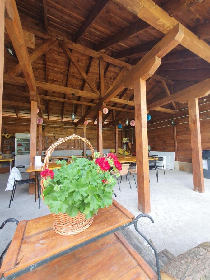 Casa Ana Cluj Apartment Bagian luar foto