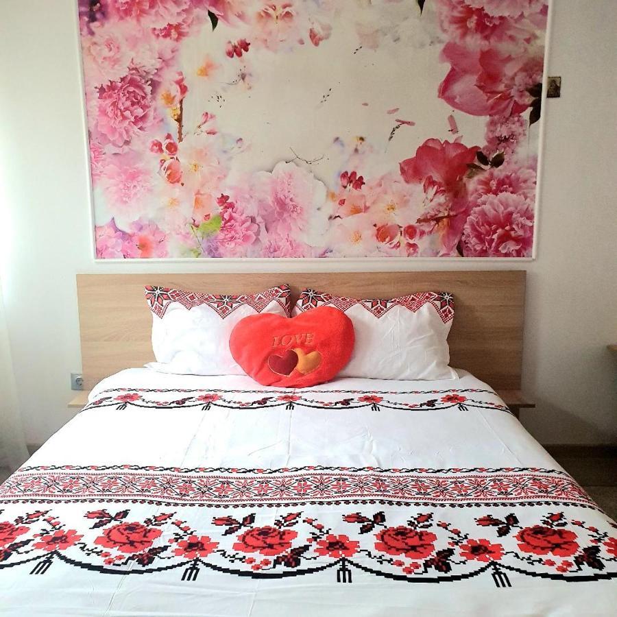 Casa Ana Cluj Apartment Bagian luar foto